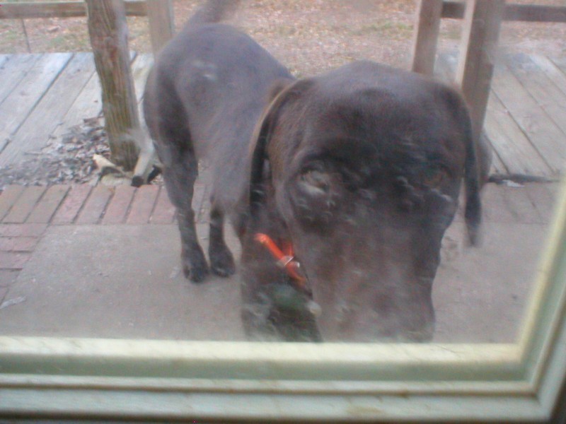 Can I come in.jpg
